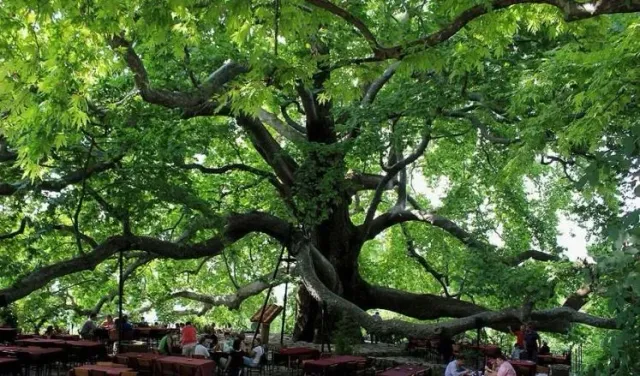 Bursa Day Trip & Shopping Guided Tour