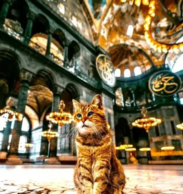 Hagia Sophia Guided Tour with Skip-the-Ticket-Line Entry