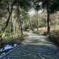 Yildiz Park Walking Tour with Audio Guide