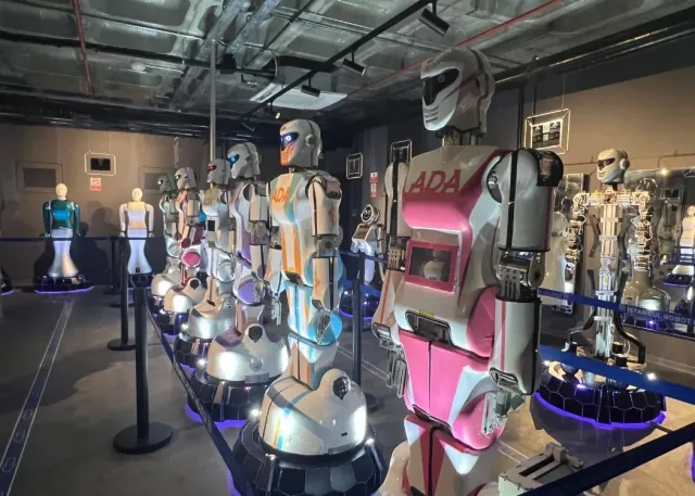 Istanbul Robot Museum Experience Entry Ticket