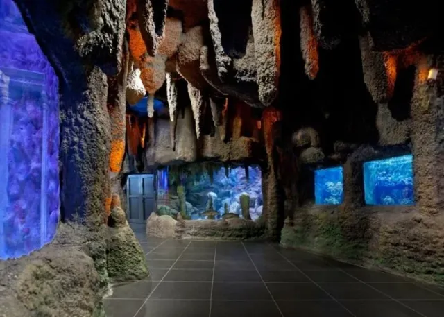 ViaSea Aquarium Entry Ticket