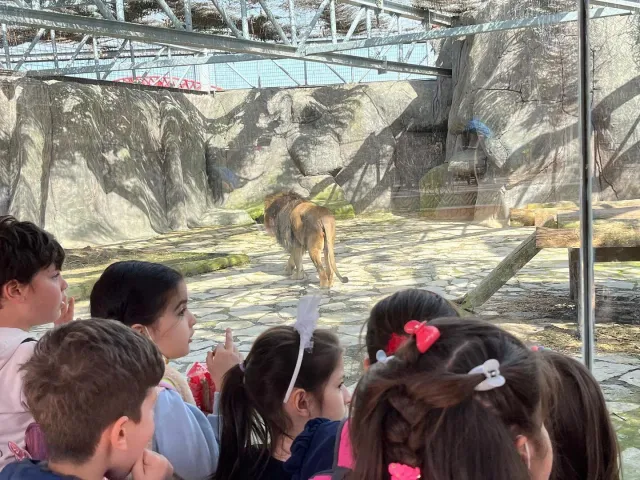 Lion Park Zoo Entry