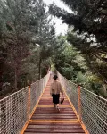 Yildiz Park Walking Tour with Audio Guide