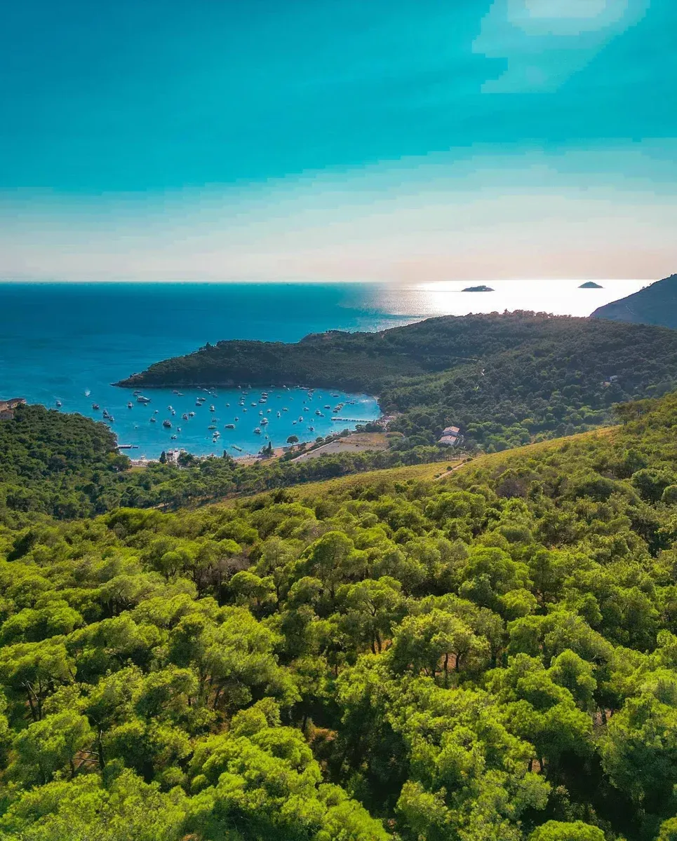 王子群岛含午餐一日游