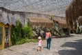 Lion Park Zoo Entry