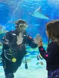Emaar Aquarium and Underwater Zoo Skip-the-Ticket-Line Entry