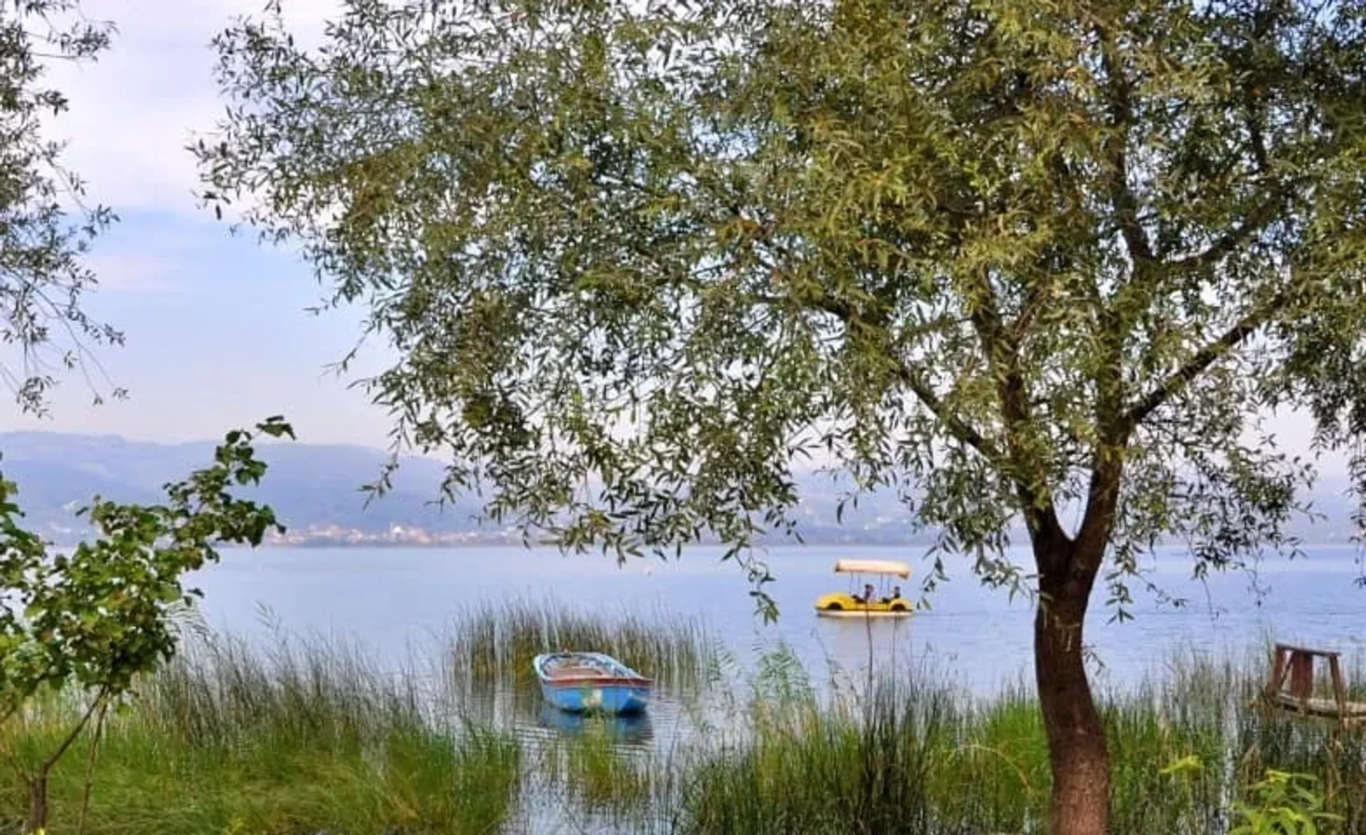 Sapanca Lake & Masukiye Guided Day Trip