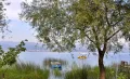 Sapanca Lake & Masukiye Guided Day Trip