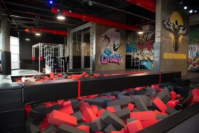 Flyzone Air Sports Entry Ticket - Torium
