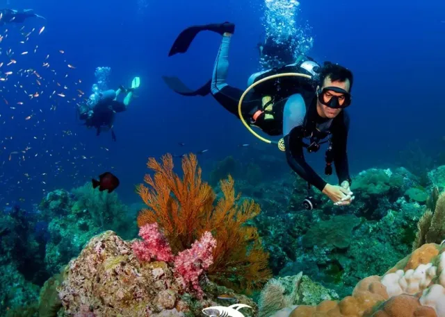 Emaar Aquarium and Underwater Zoo Skip-the-Ticket-Line Entry