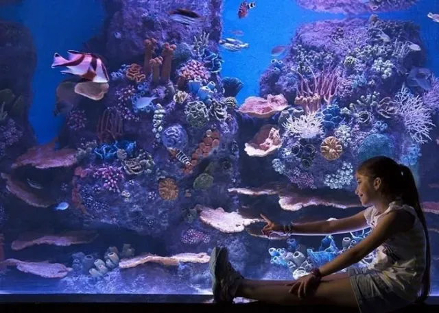 ViaSea Aquarium Entry Ticket