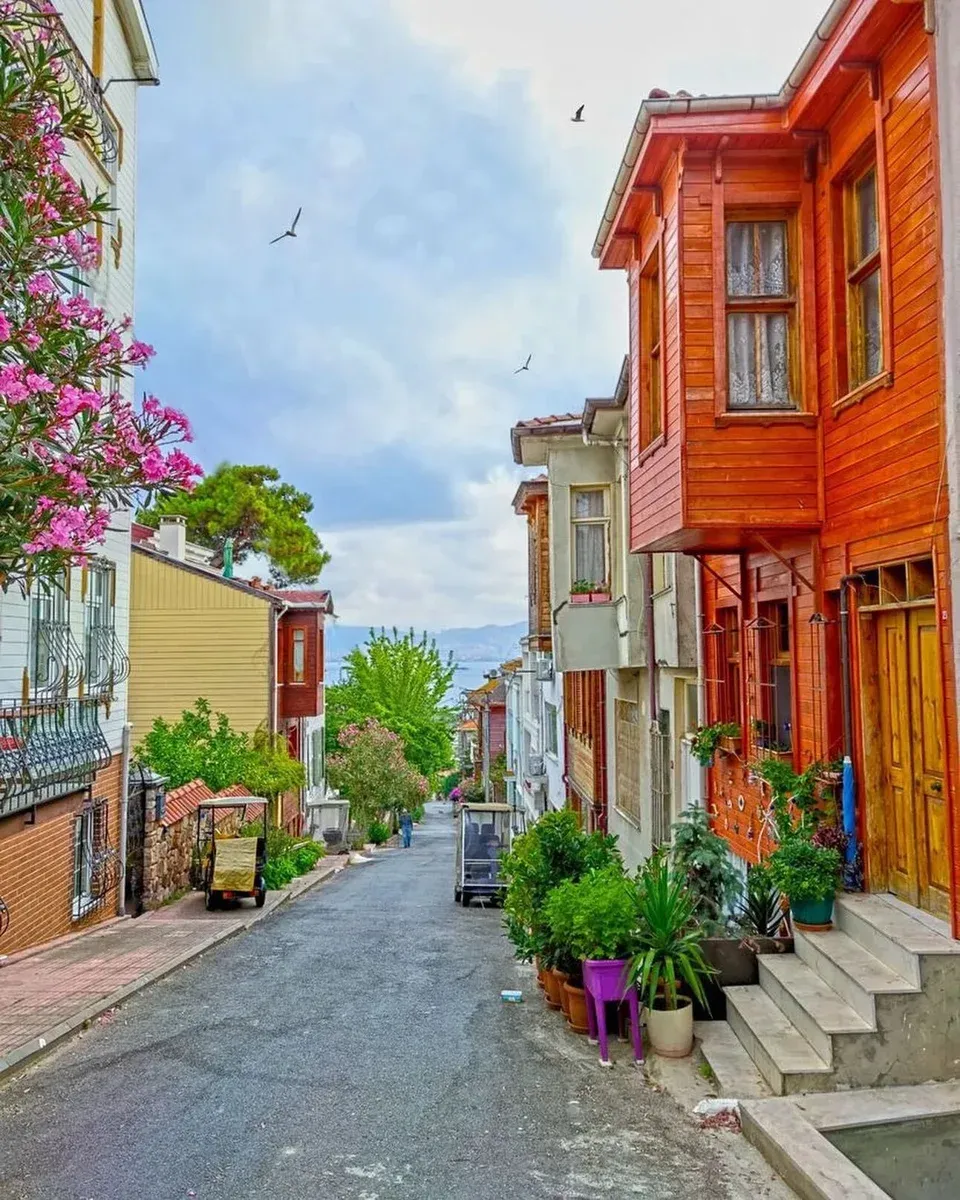 Princes’ Islands Tour with Lunch