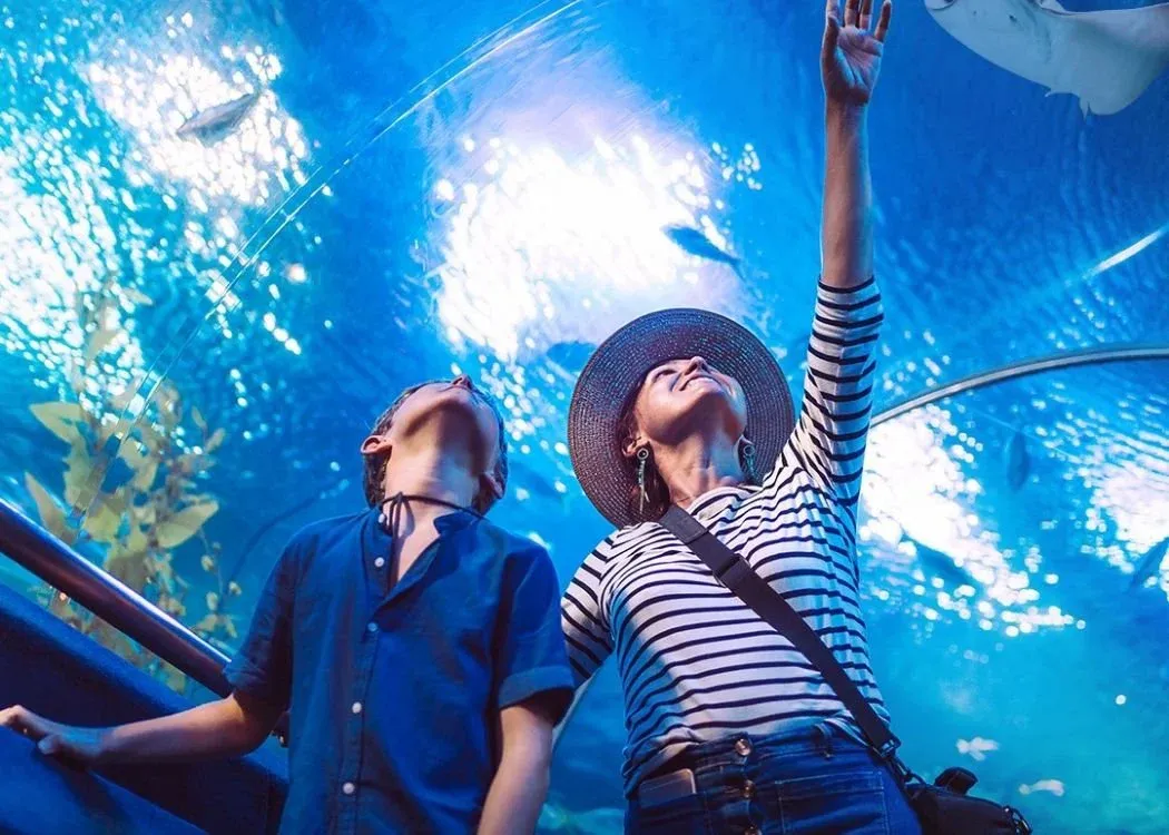 Emaar Aquarium and Underwater Zoo Skip-the-Ticket-Line Entry