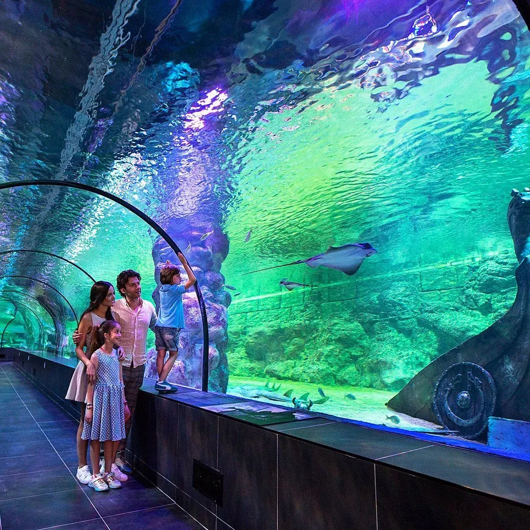 ViaSea Aquarium Entry Ticket