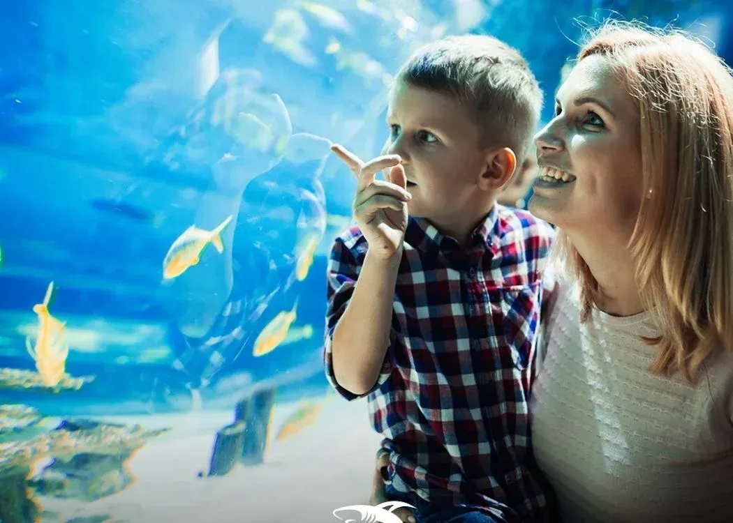 Emaar Aquarium and Underwater Zoo Skip-the-Ticket-Line Entry