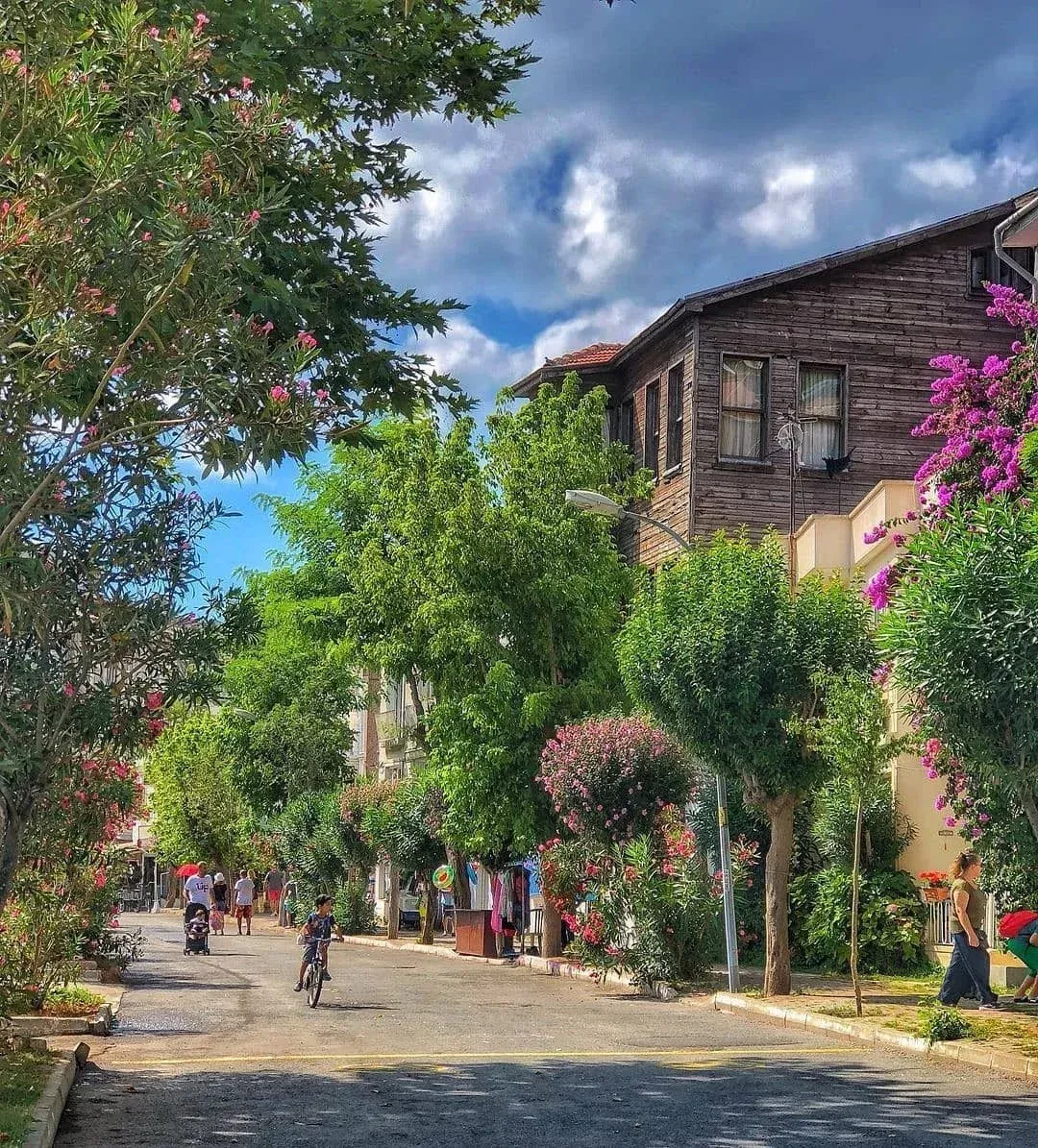 Princes’ Islands Tour with Lunch