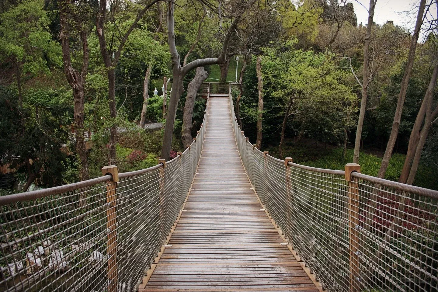 Yildiz Park Walking Tour with Audio Guide