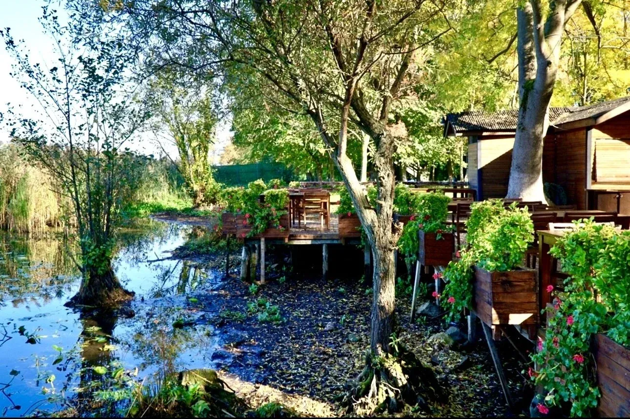 Sapanca Lake & Masukiye Guided Day Trip