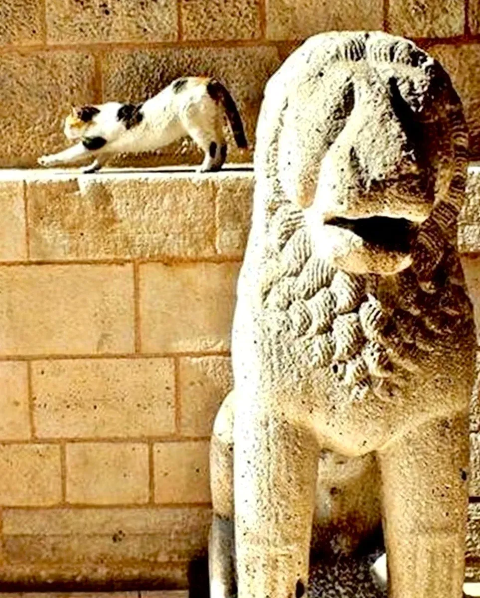 Turkish and Islamic Arts Museum Skip-the-Ticket-Line Entry with Audio Guide