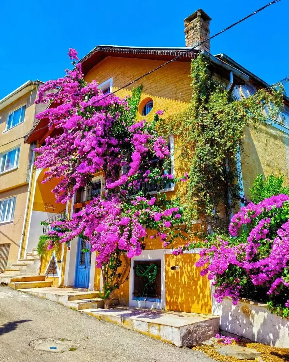 Princes’ Islands Tour with Lunch