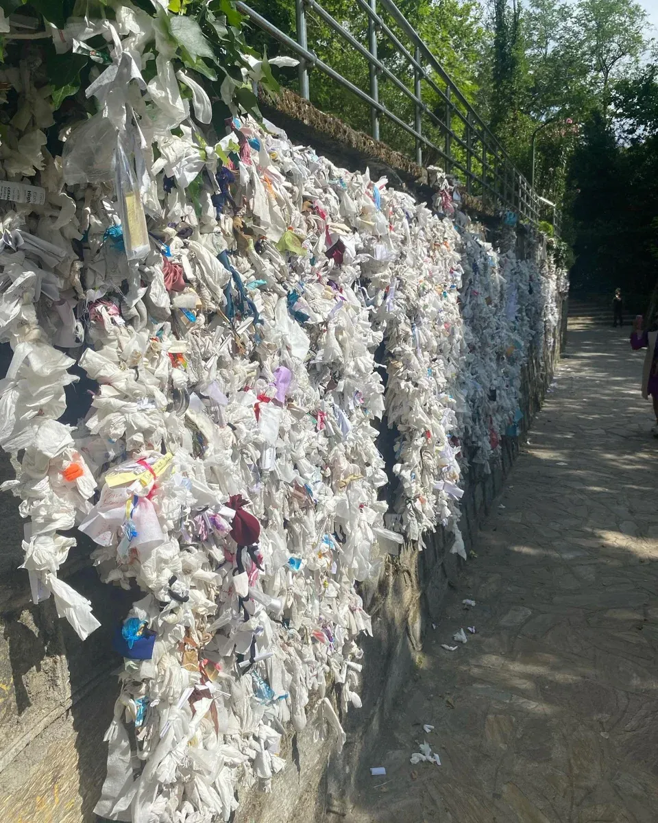 Ephesus & Virgin Mary House Guided Day Trip