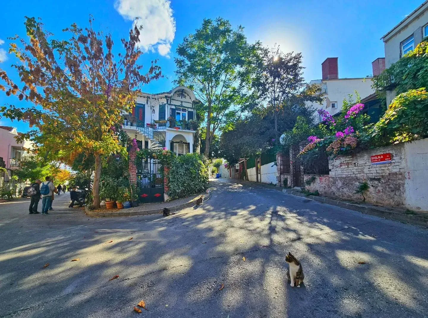 Princes’ Islands Tour with Lunch