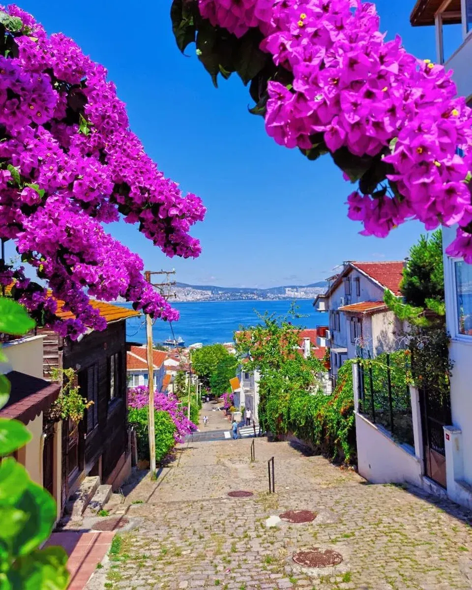 Heybeliada Island Roundtrip Boat Ticket with Audio Guide