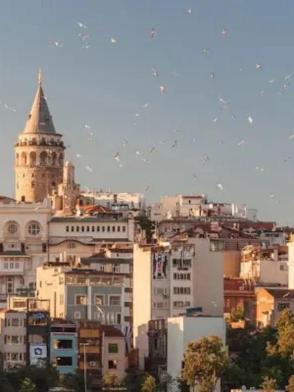 Galata Tower with Istanbul skyline